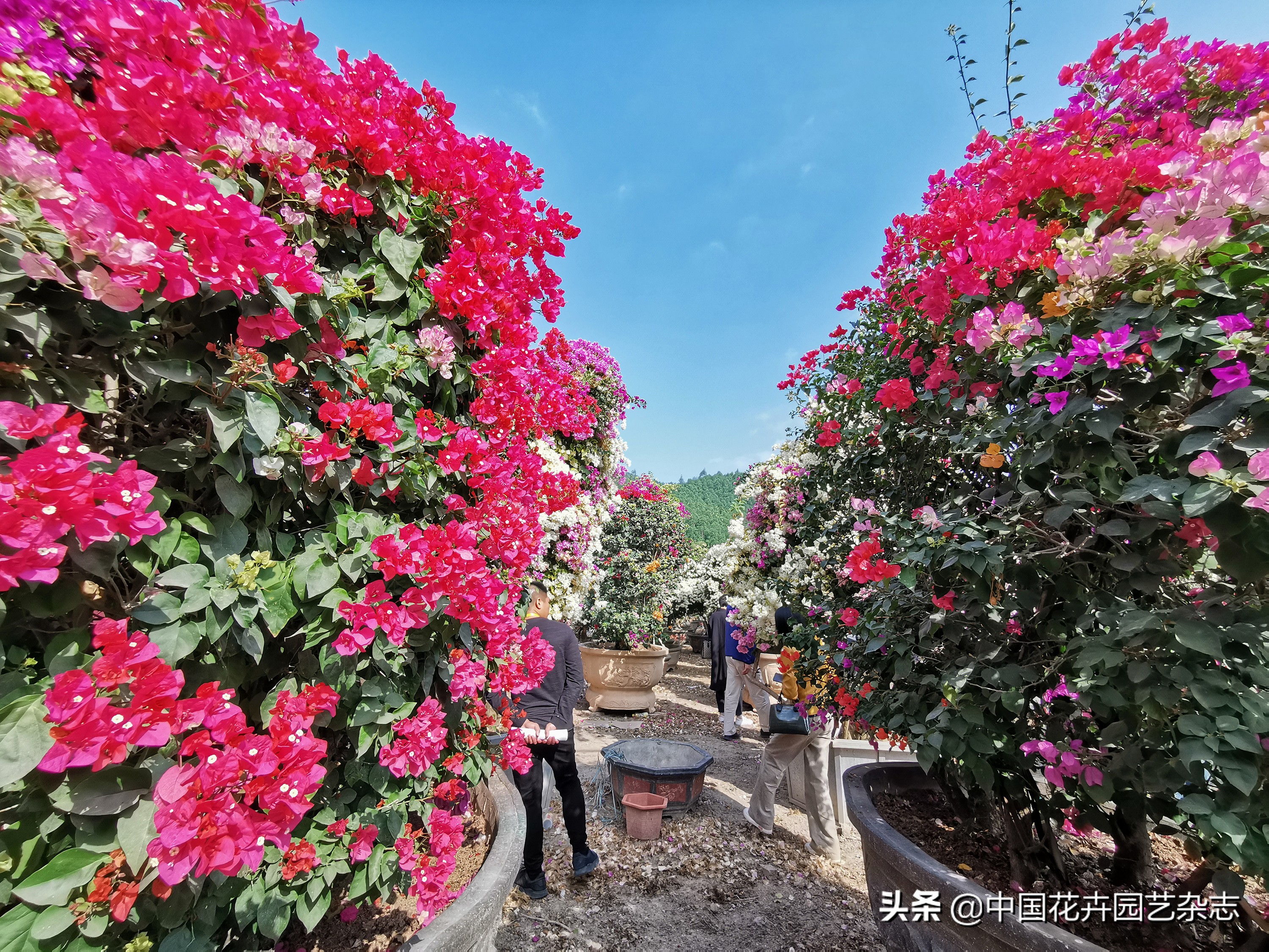 为产业发展提振信心注入新动能,为激发市场活力添动能