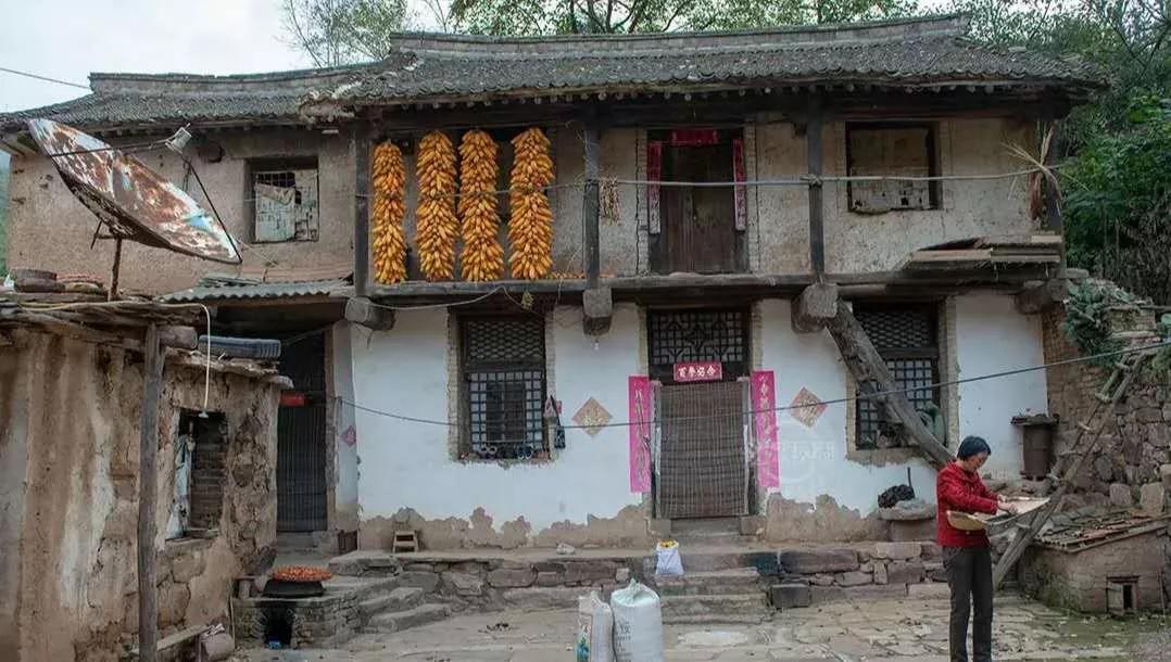 老话“不怕癞蛤蟆进家，就怕3树立门头”，啥意思？