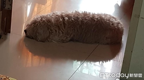 门口发现许多奇怪动物,门口发现一只蟑螂