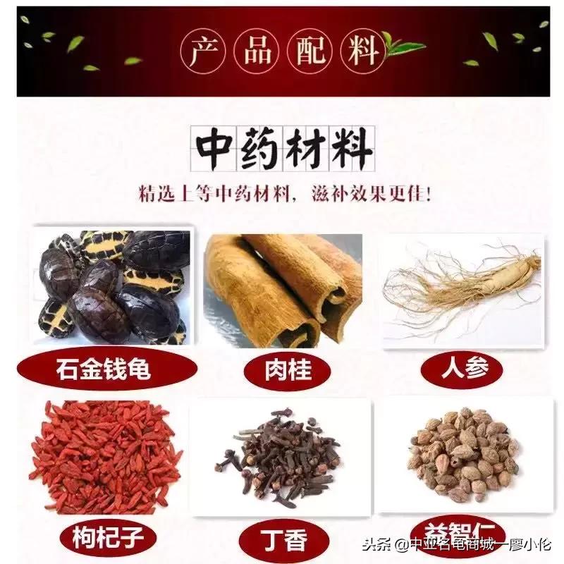 张裕出品的保健酒图片,张裕至宝养生酒露酒