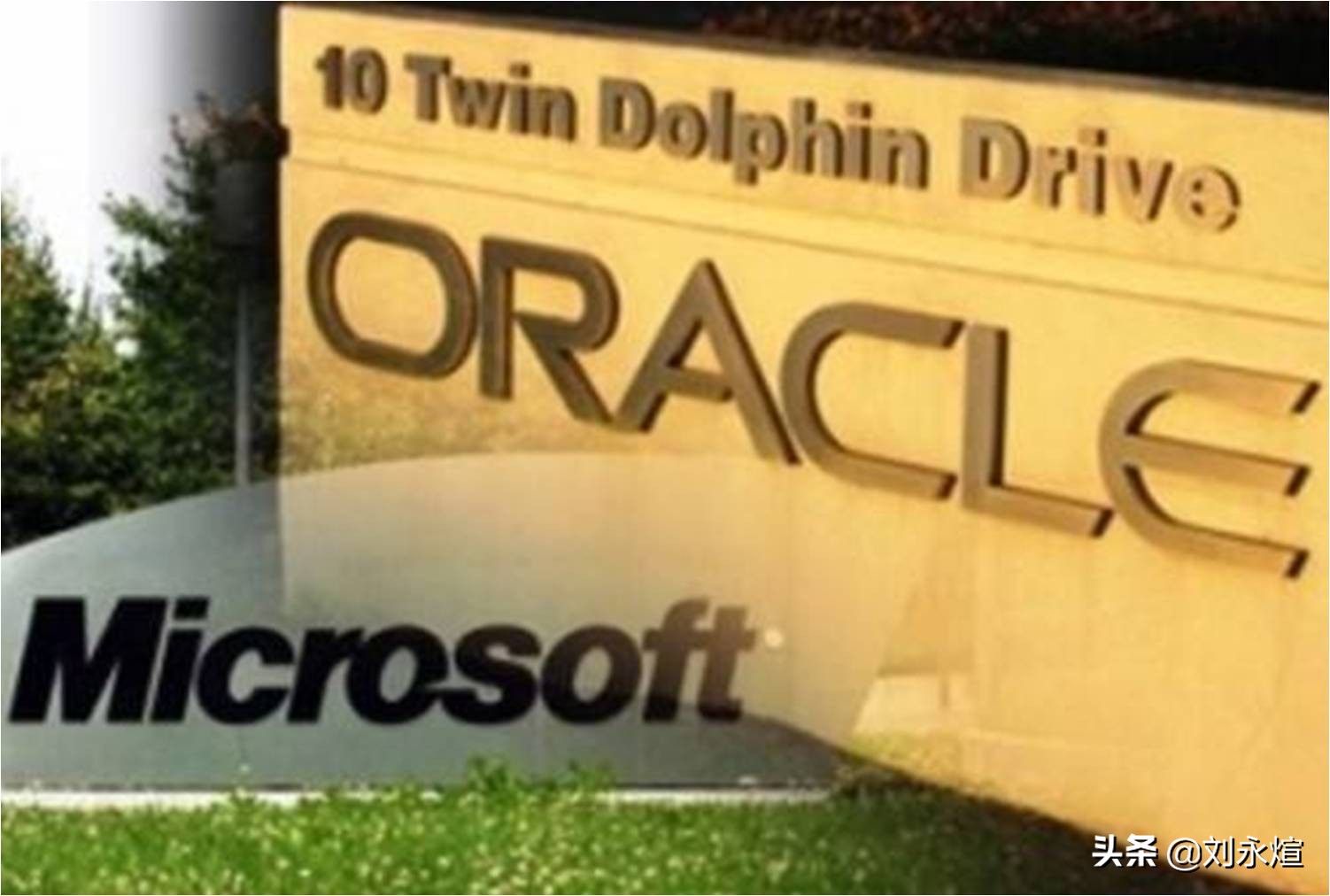 亡羊补牢未为晚全文,亡羊补牢未为晚也解释