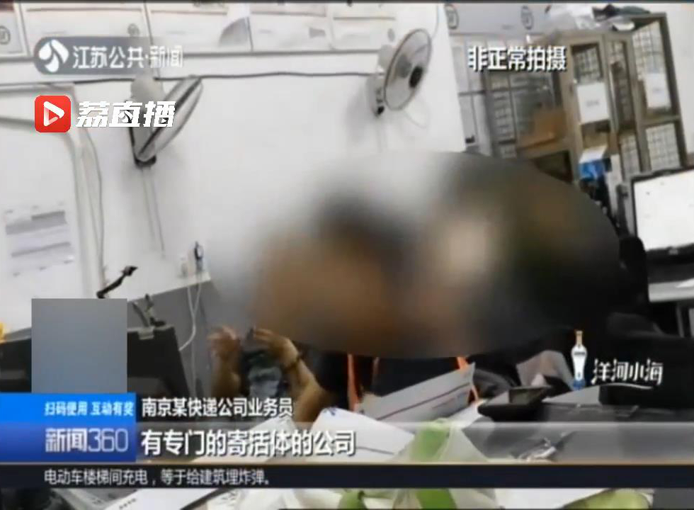 邮寄活宠物狗,邮寄活的动物