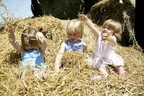 儿童农场建立,给孩子打造农场