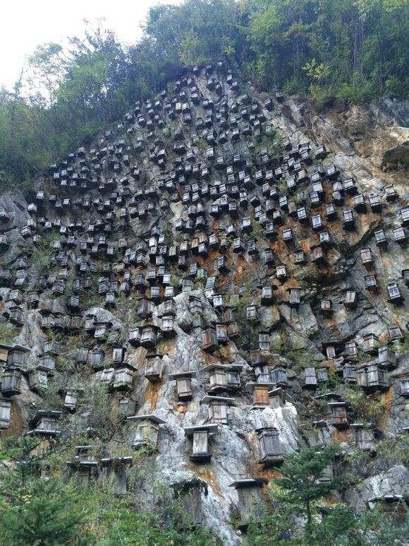 巫峡棺山是鬼吹灯里最恐怖的吗,巫峡棺山有古墓吗