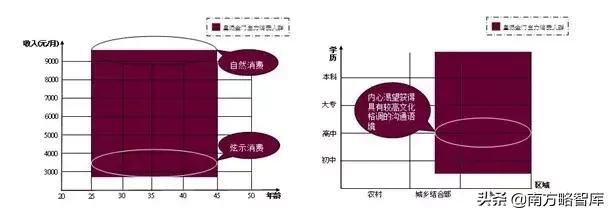 定制化营销的案例分析,定制化营销案例
