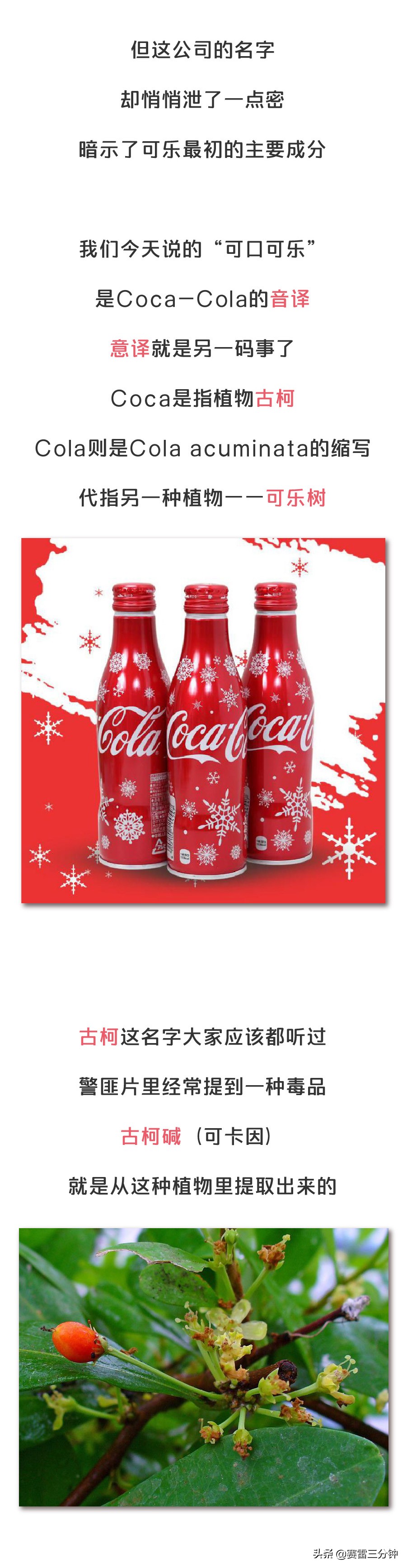 3块钱的可乐完整视频,3块钱可乐