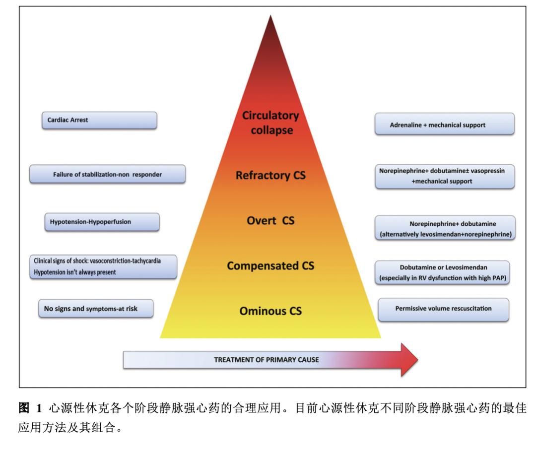 强心类口服药物有哪些,强心的药常用口服药