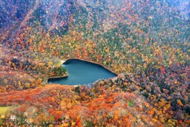 日本旅游吃饭攻略,日本游美食必购清单