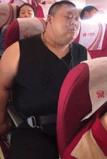 金毛搞笑表情图片伸手,金毛吃醋的搞笑图片