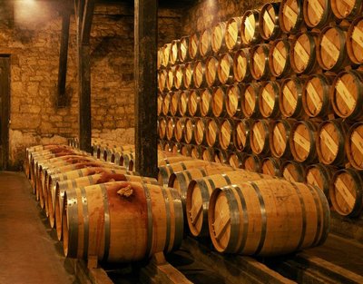 养一个摩托车多少钱,养一个骑士多少钱