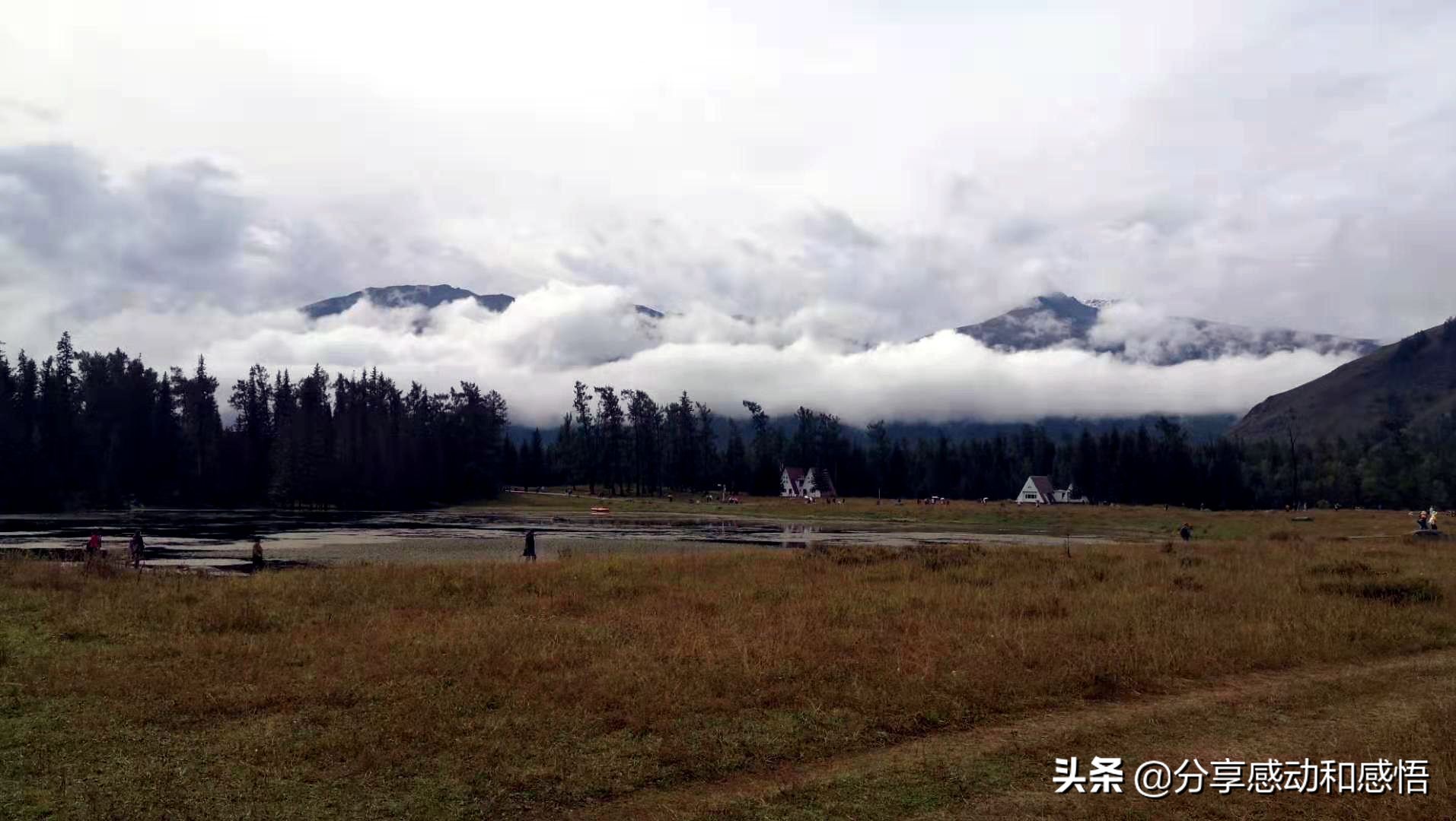 *疆新**汽车窗外的光影世界：斑驳陆离风光美，亦梦亦幻疑成仙