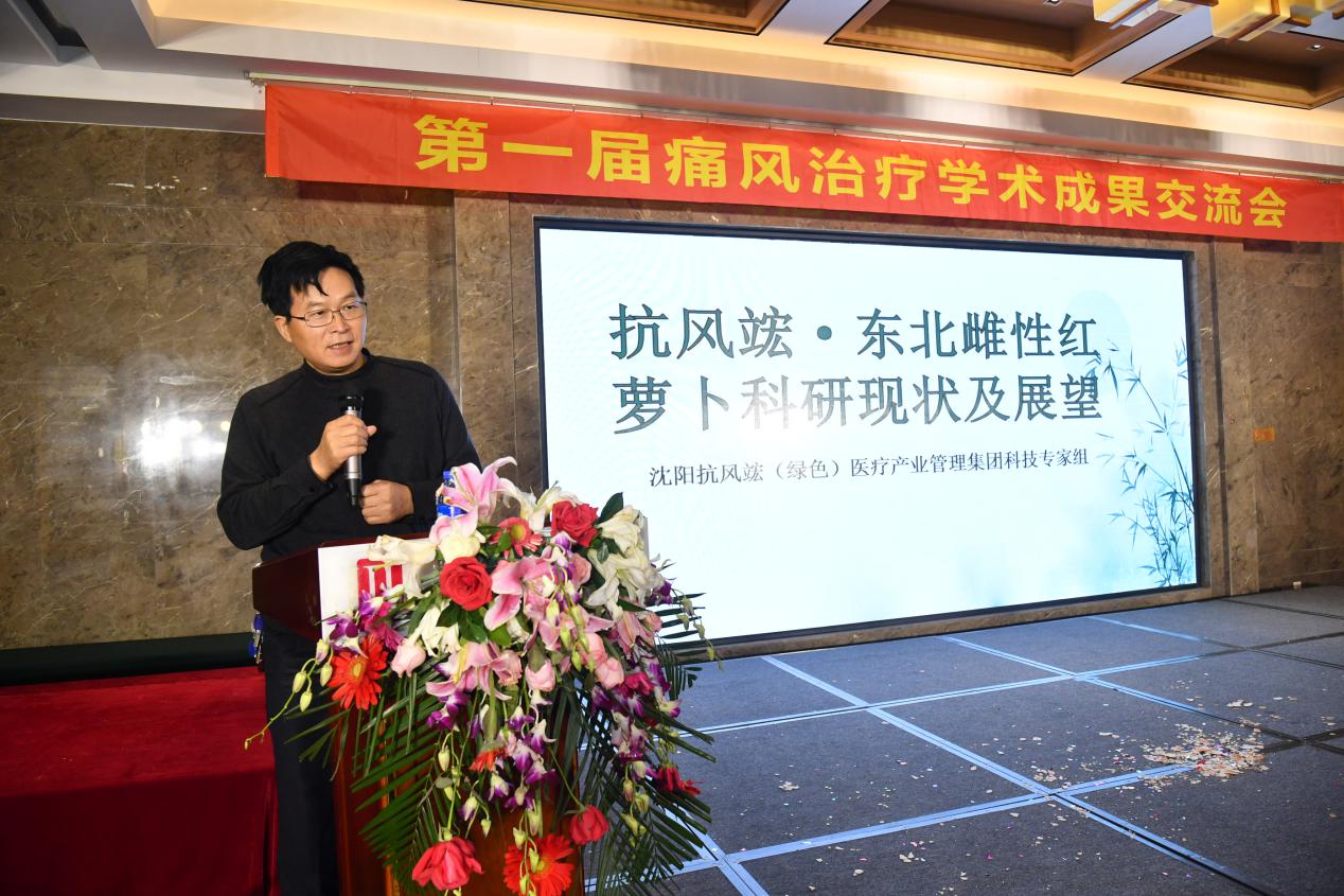 痛风诊疗新进展,痛风治疗学术