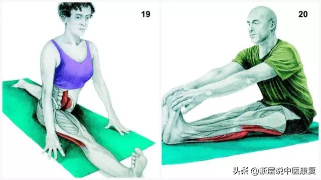 胳膊肌肉拉伸动态图谱,拉伸训练彩色图谱pdf免费下载