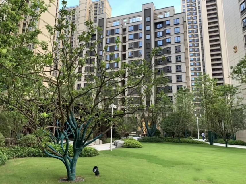 以前的关山大道,关山大道曾经的样子