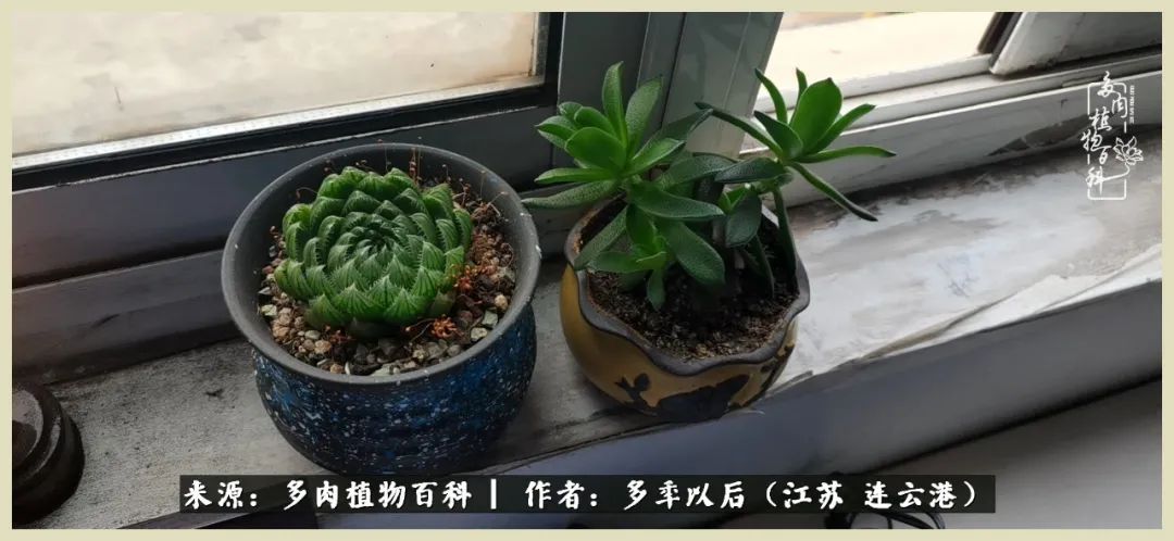 多去花前谈以后，少来月下忆当年