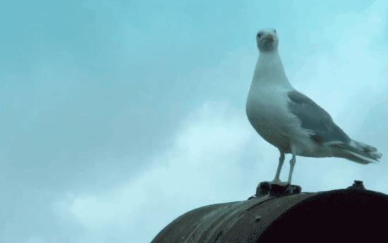 在死海沉浮，探秘无人岛，真正的航海生活比书里精彩一百倍