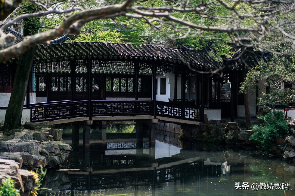 拙政园最让人欣赏的地方,拙政园十大特色