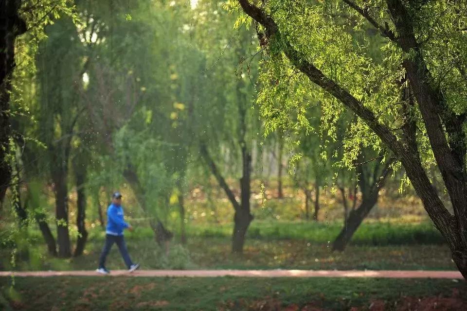 开远有多远,开远是哪