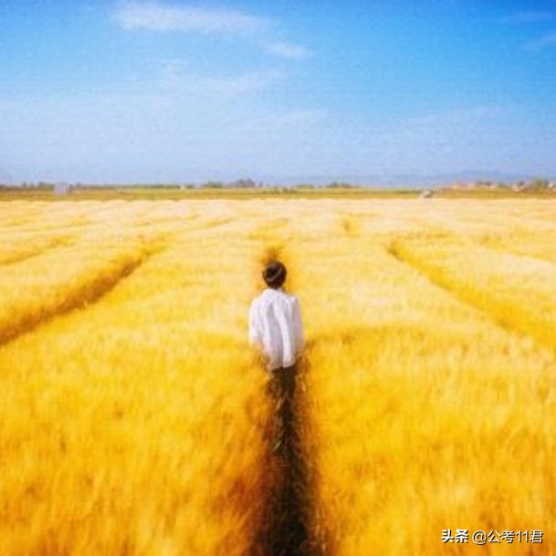 麦田里的守望者适合初中生看吗,推荐麦田里的守望者这本书