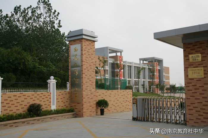 南京家长:码农咨询,雨花外小,雨花实小,软件谷小学选哪个好?