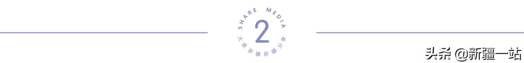 疆新域酸奶,新款新疆伊犁酸奶