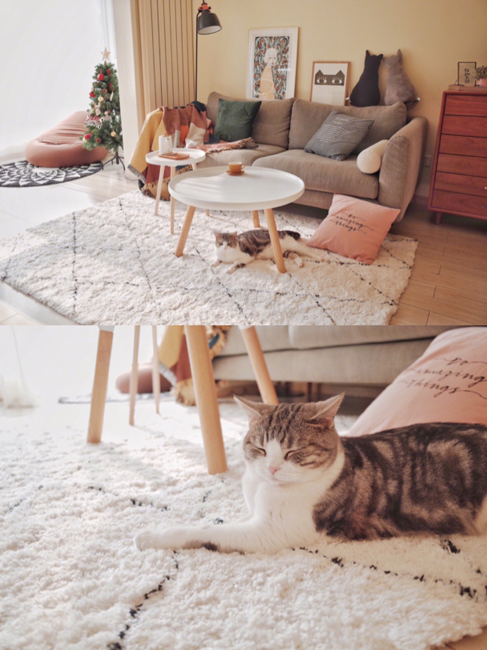 客厅今年最流行的颜色搭配,2022装修客厅地砖流行什么色