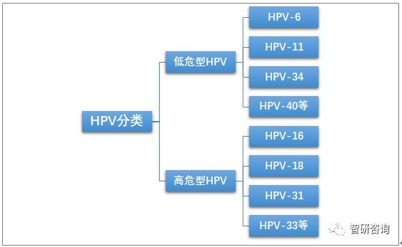 2020年国产HPV疫苗“馨可宁”上市，HPV疫苗市场开启进口替代之路