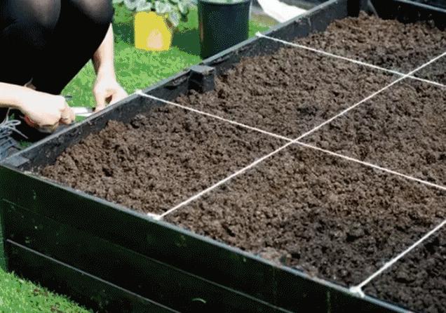 阳台种花种菜怎么养才茂盛,楼房阳台种菜的种植方法