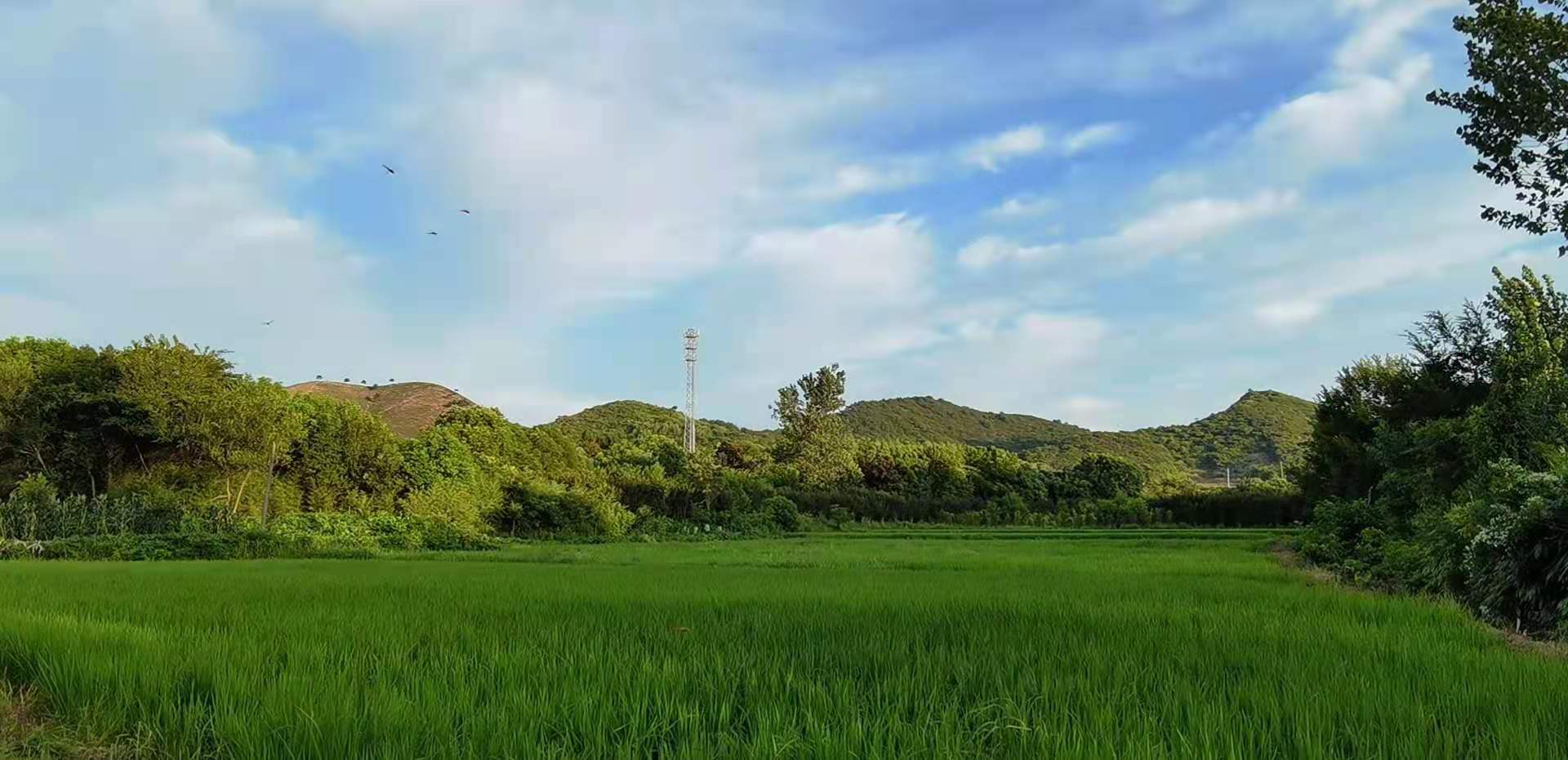 论治是什么意思,论治方法都有几种