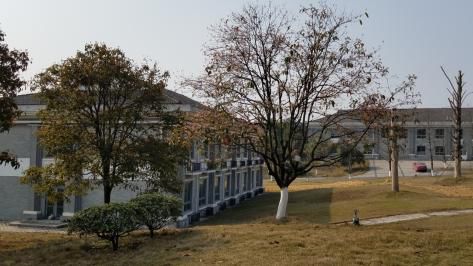 打造三位一体养生养老服务新模式,互联网智慧健康养老服务