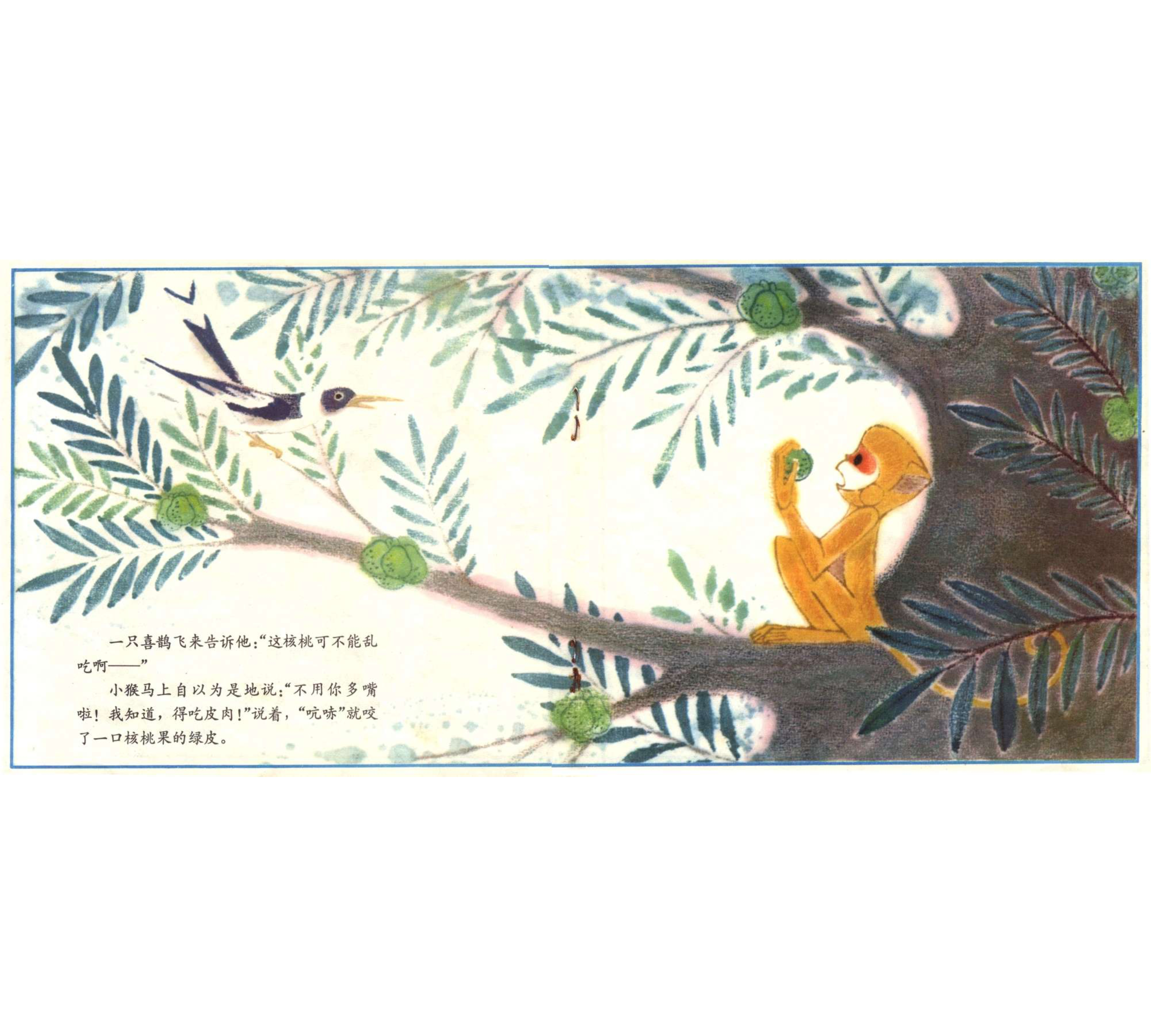小猴吃瓜果连环画,小猴吃瓜果儿童画