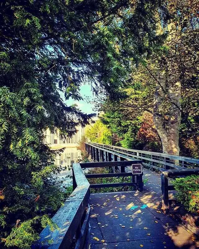 去英国留学生病了如何就医,英国留学孩子生病了怎么办