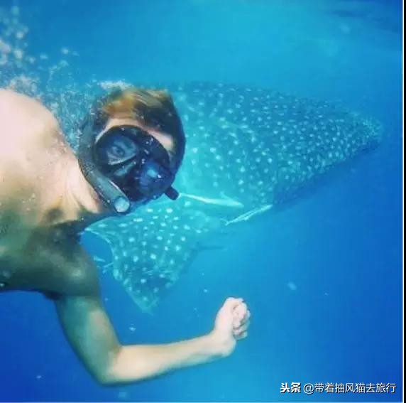 澳大利亚极致之旅,来澳大利亚必买