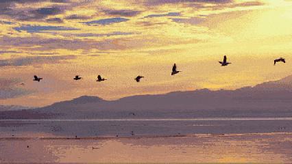 宁波杭州湾世纪城在哪个区,宁波杭州湾新区发展历程