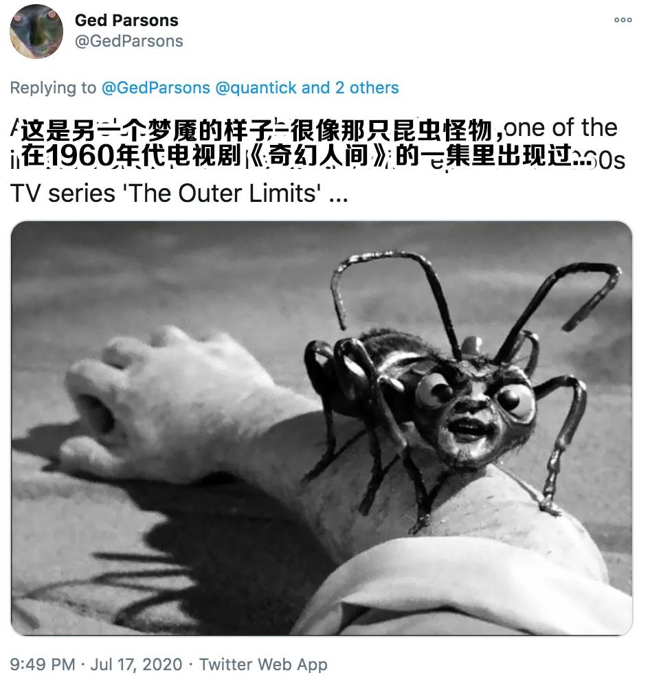 杀人蜂为什么那么可怕,杀人蜂到底有多厉害