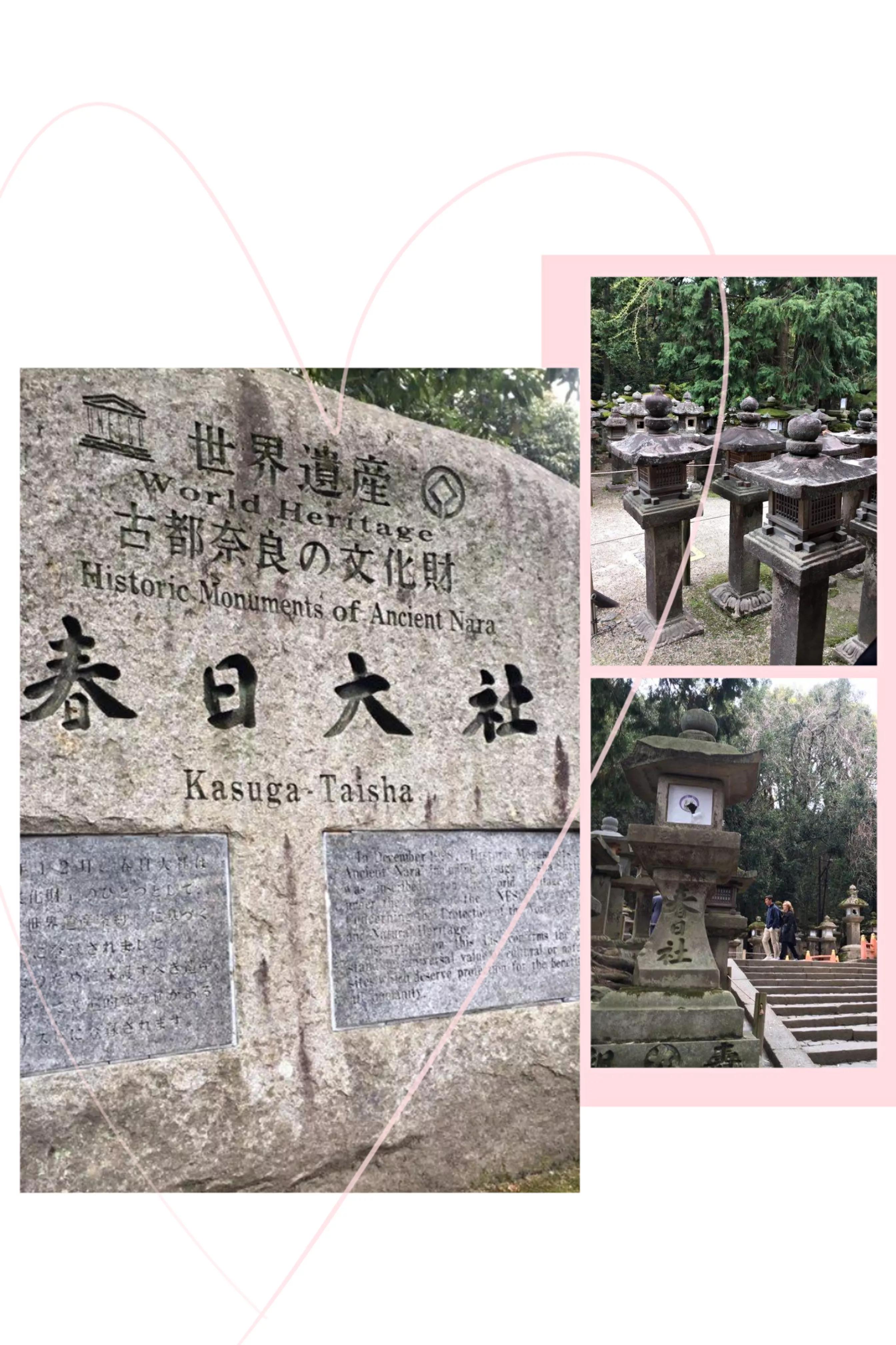 浪漫樱花完整版3分钟,《浪漫樱花》