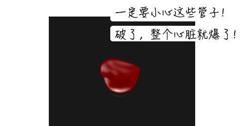 拉个肚子，心跳却突然没了！深圳“包租婆”为此两进ICU