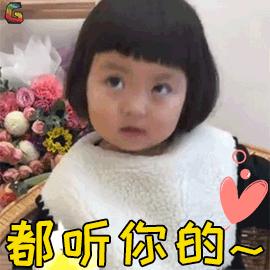 部队自考学信网查不到没有学籍,自考学籍学信网能查到吗