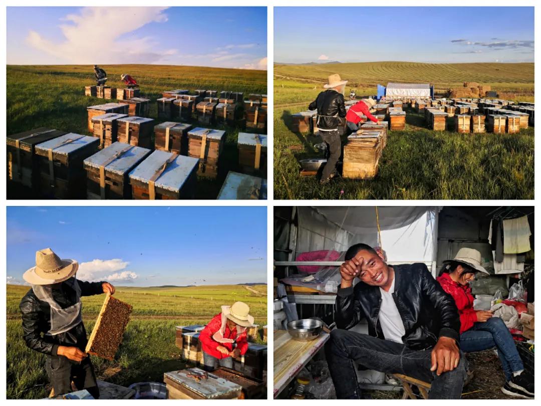 走向我们的小康生活微电影,走向我们的小康生活中国画