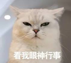 中国神华股票为什么跌,为什么a股下跌百余点