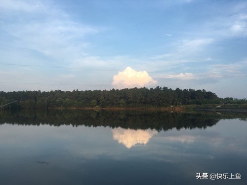 意外的大物鱼情狂切子线最后我用这种方法成功搏大物