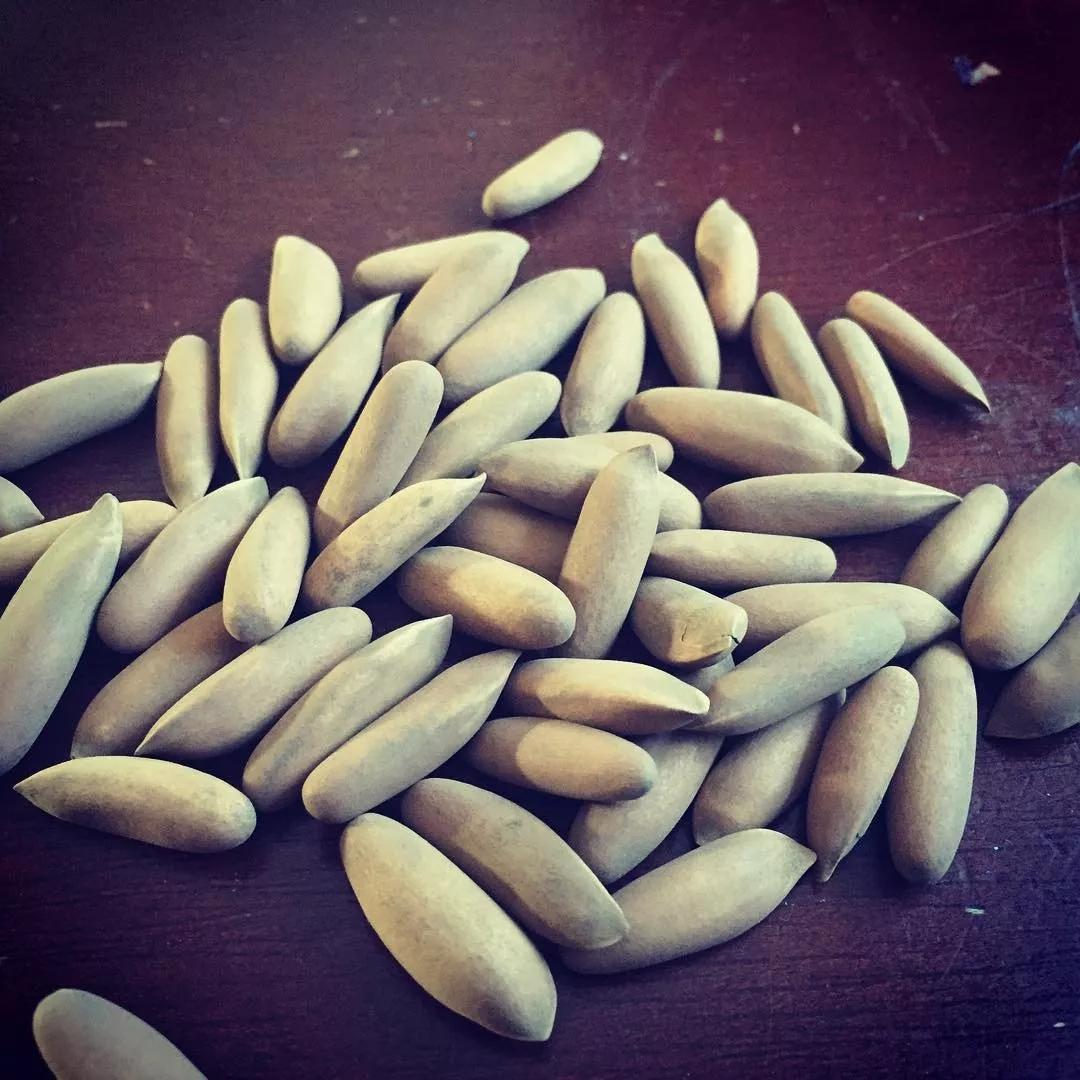 花生腰果哪个好,腰果巴旦木坚果