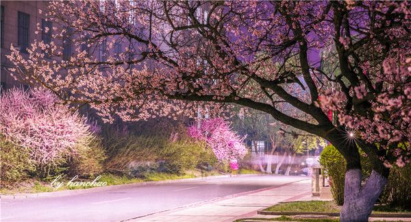 粥香浓郁口感丰富,粥真的很甜