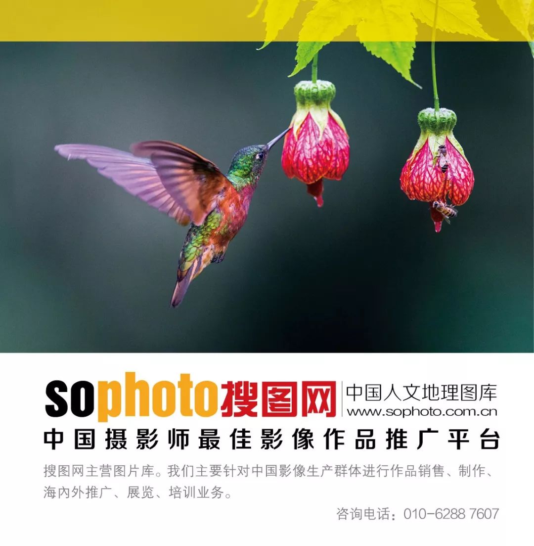 100张大师画,100张经典黑白人像