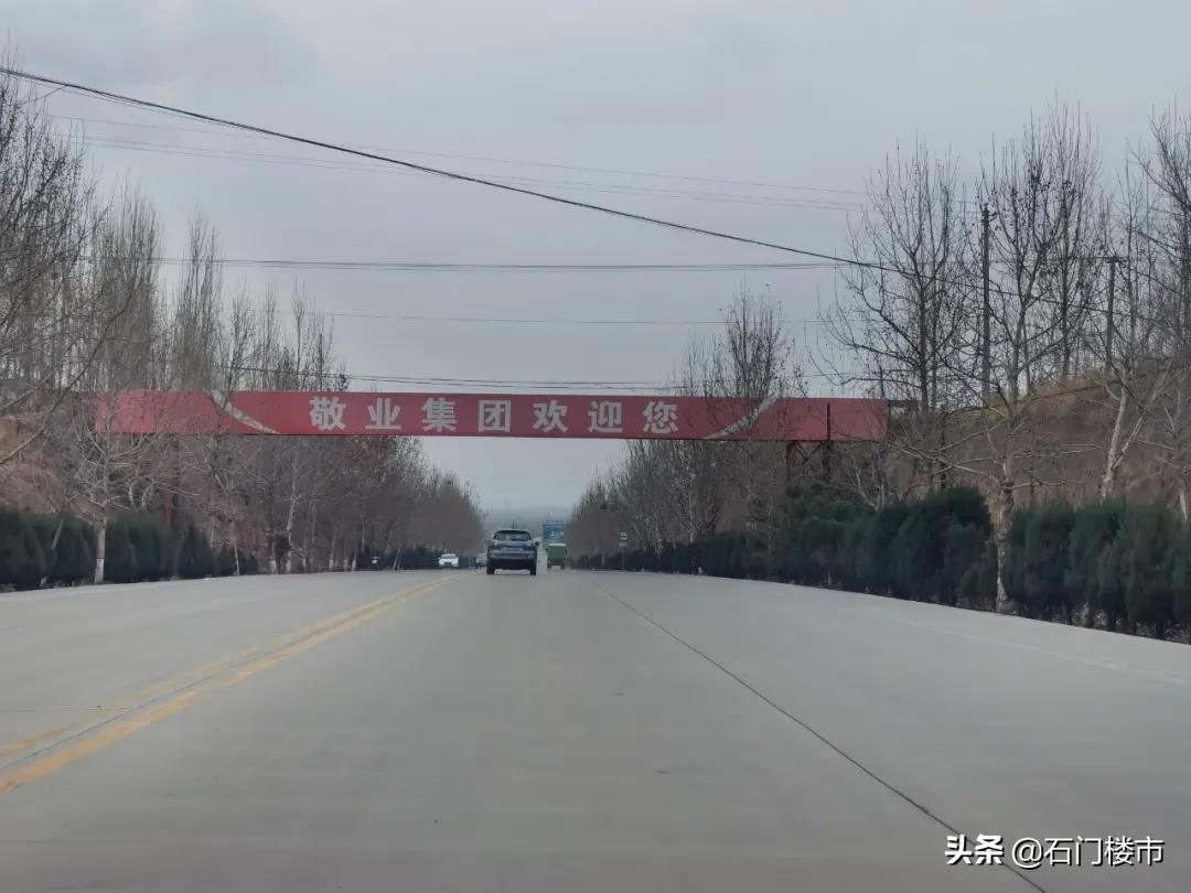 实探现场,实探日本果园