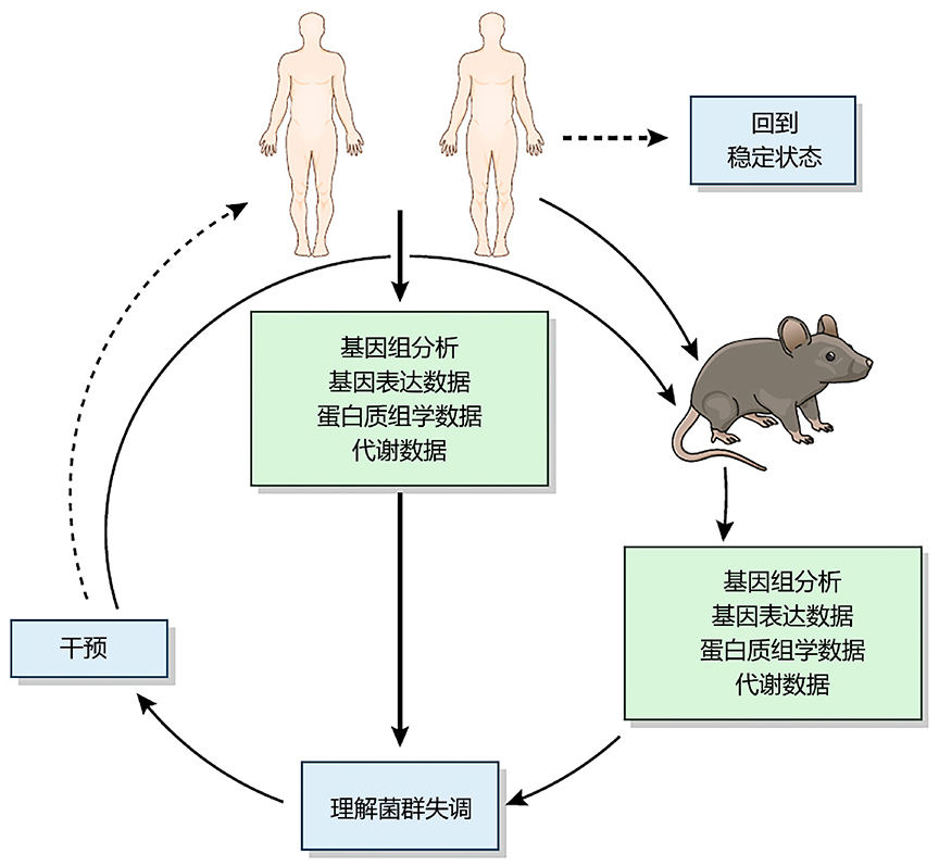 肠道菌群研究思路与案例解析,肠道菌群研究分析方法进展