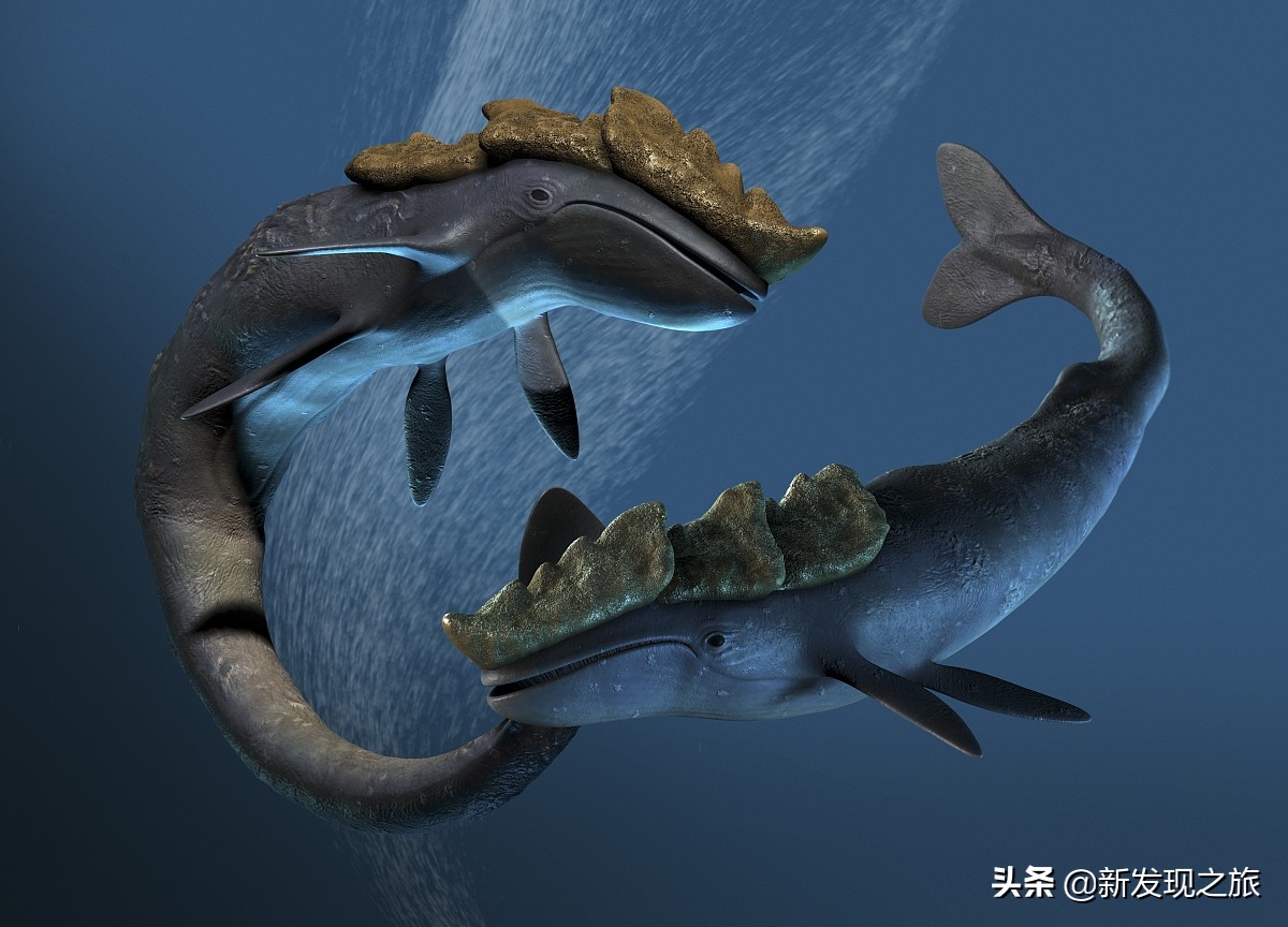 动物简史：从原核生命到人类文明