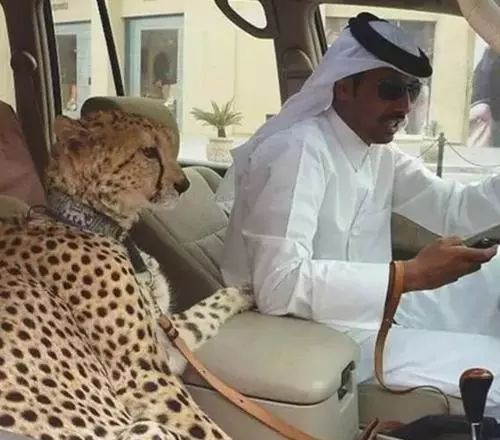 靠捡垃圾成了千亿富翁完整版,捡垃圾变成百万富翁