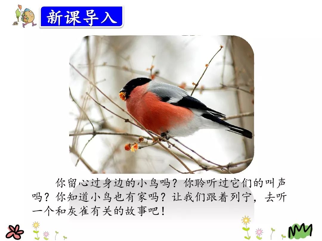 部编三年级语文上第26课灰雀,部编三年级语文上册26课灰雀练习