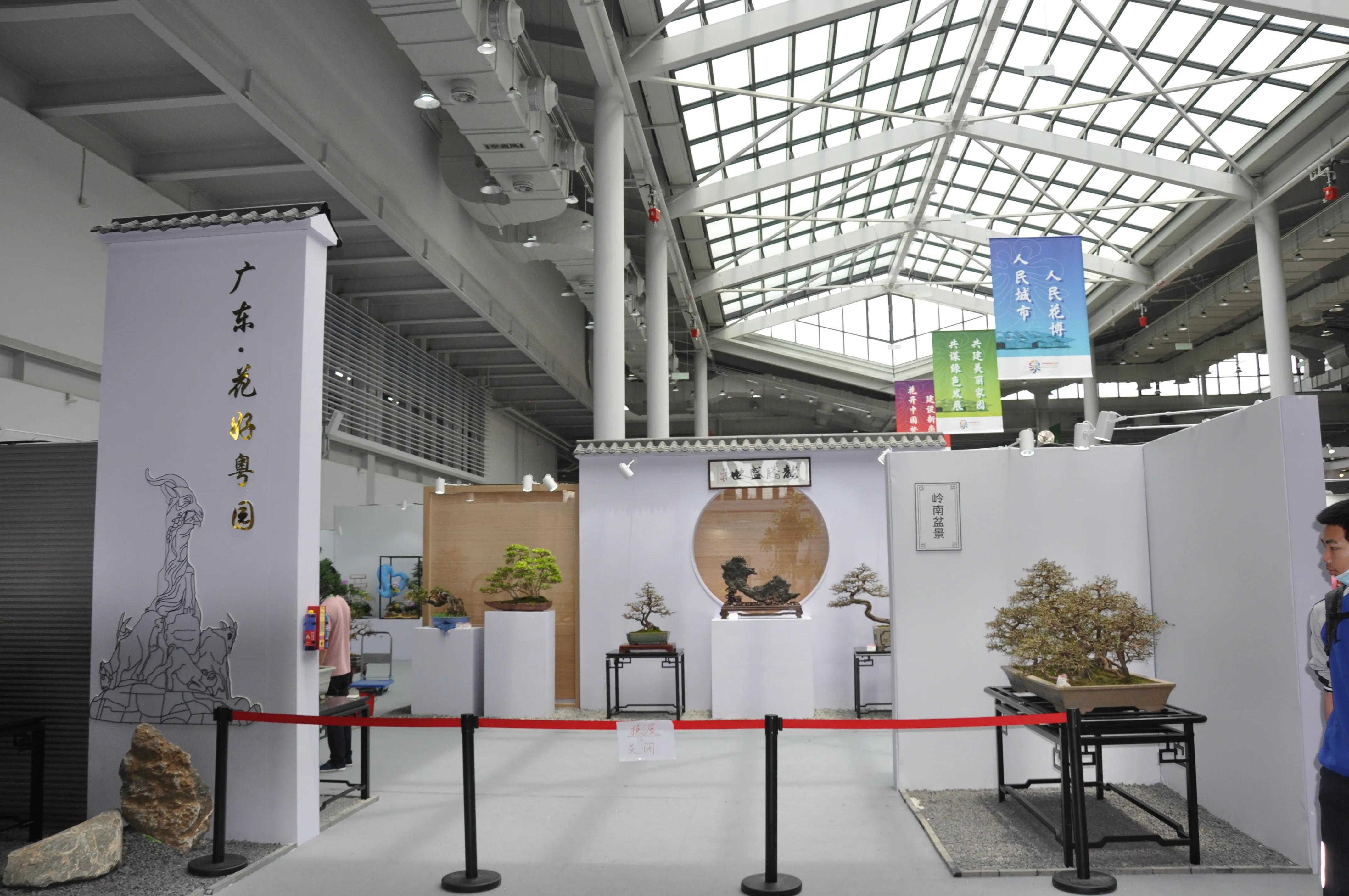 漳州东南花都花博会巡游,花博会花神巡游打卡